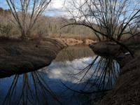 Wolf Creek #206