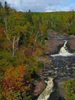 A vertical view in the Fall