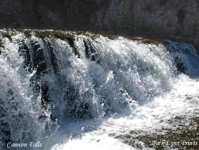 Cannon Falls Photo #770