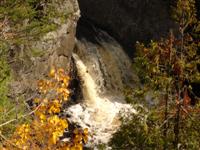 Wren Falls #704