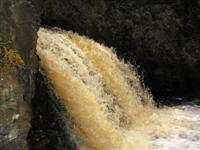 Wren Falls #770