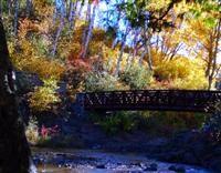 Gooseberry River in Fall