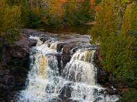 Fall Color