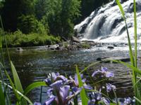 At the bottom of Bond Falls