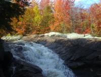 Foster Falls #023
