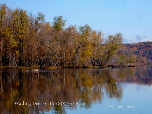 Afton State Park Photo #079