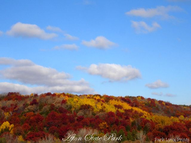 Afton State Park Photo #088