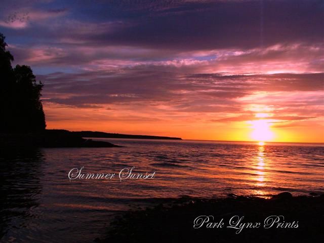 Summer Sunset #256