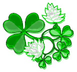 clover plant