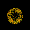 exp.fireworks