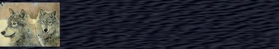 wolf border