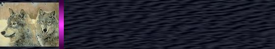 Divided Wolf Background