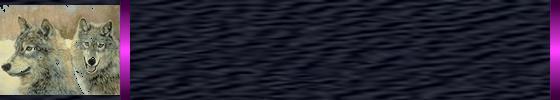 Created Border Background