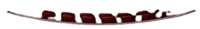 seats