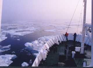 Spitsbergen10