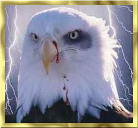 Battled Eagle