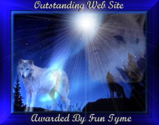 Funtyme Outstanding Web Site Award