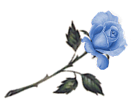 Blue Rose