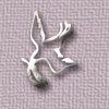 Dove