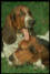 Click for larger image.