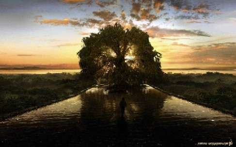 mystic tree