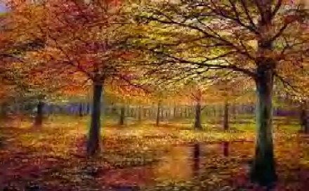 september splendor