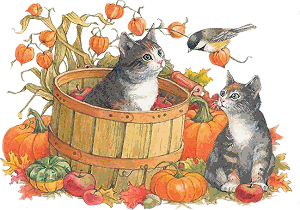 fall cats