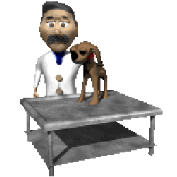 vet petting dog